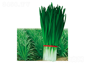 ����998-�²˷N��-ƽ�S�N�I