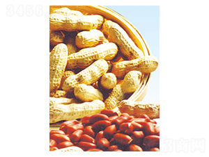 �����t-�����N��-���S�N�I