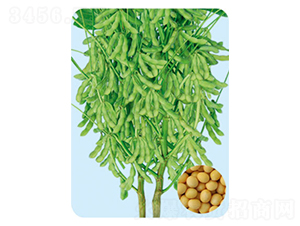 �|��38-�󶹷N��-���S�N�I