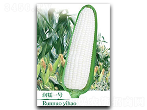 ��Ŵһ̖-Ŵ���׷N��-��зN�I