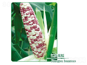 ���K��Ŵ-Ŵ���׷N��-��зN�I