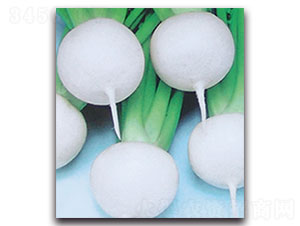 ʏݼ-�}���N��-���ʵ�