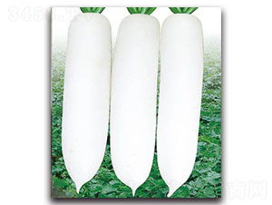 ��ѩ-�}���N��-���ʵ�