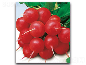 ���A-�}���N��-���ʵ�