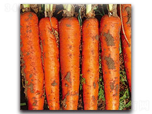 ���tһ̖-�}���N��-���ʵ�