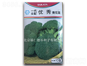 ����-���m���N��-���ʵ�