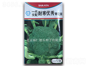 10g�ͺ�����-���m���N��-���ʵ�