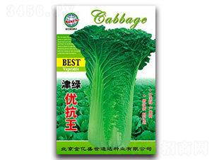 津綠優抗王-白菜種子-宏特