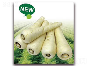 ����-�}���N��-�ȃ��_