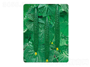 �ȃ�L306-�S�ϷN��-�ȃ��_