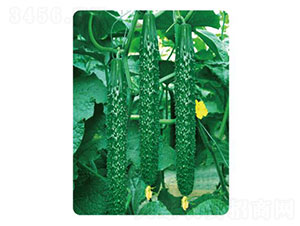 �ȃ�L302-�S�ϷN��-�ȃ��_