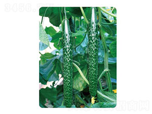 �ȃ�L30-�S�ϷN��-�ȃ��_