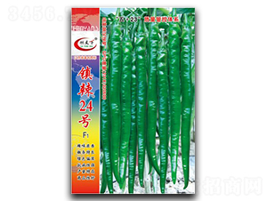 ���24̖-�����N��-��зN�I