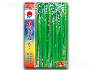 ������23̖-�����N��-��зN�I