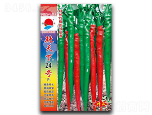 ������24̖(h��o)-�����N��-�(zh��n)�зN�I(y��)