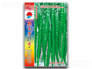 ������21̖-�����N��-��зN�I