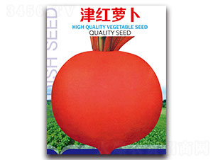 ��t�}��-�}���N��-�ȃ��_