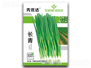 長青-小蔥種子-先優達
