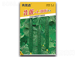 �ȃ�L-306-�S�ϷN��-�ȃ��_