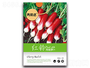 �t�-�}���N��-�ȃ��_