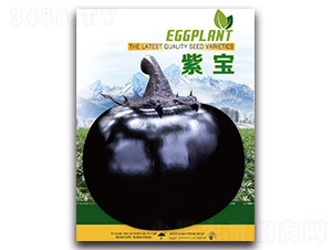 �ό�-���ӷN��-�ȃ��_