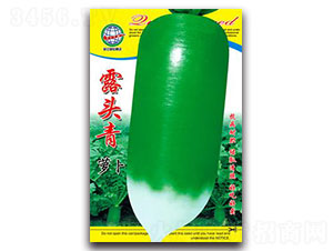 ¶�^���}��-�}���N��-����