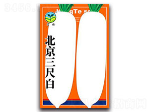 �������߰�-�}���N��-����