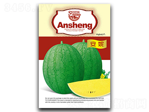 安妮-西瓜種子-安生