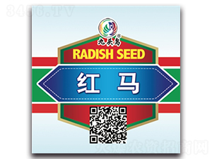 �t�R-�}���N��-���^�B