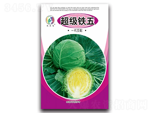 �����F��-���{�N��-���^�B