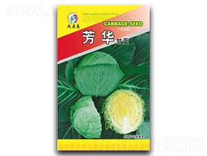 ���A���{-���{�N��-���^�B