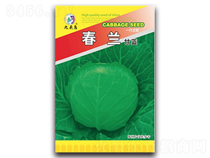 ���m���{-���{�N��-���^�B