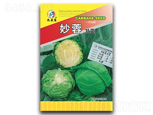 ���ظ��{-���{�N��-���^�B