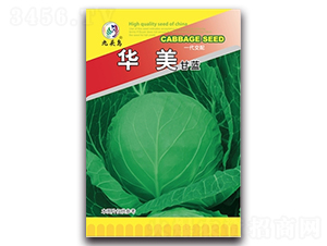 �A�����{-���{�N��-���^�B