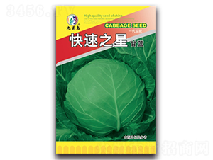 ����֮�Ǹ��{(l��n)-���{(l��n)�N��-���^�B(ni��o)