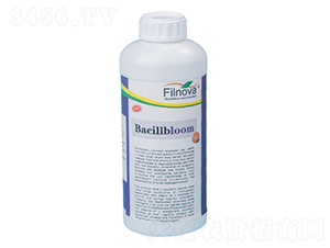 ������������B��-����ķ-�M���Z