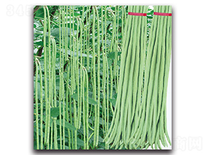 ���Ѷ���-���ǷN��-�F������