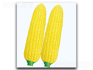 �A����1̖����-�����׷N��-�F������