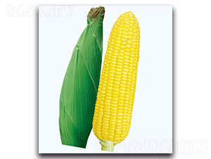 �A����2̖����-�����׷N��-�F������