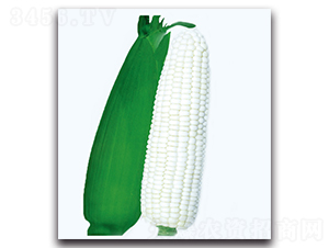 ��Ŵ2̖����-Ŵ���׷N��-�F������