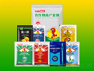 �r����߮a�ײ�-���ݺ��o