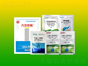 С����ó��݄����b��6��-�����g��-����