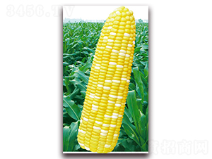 �f��2015-�����׷N��-�A��N�I