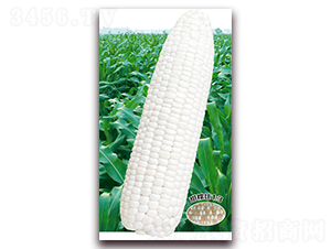 �fŴ908-Ŵ���׷N��-�A��N�I