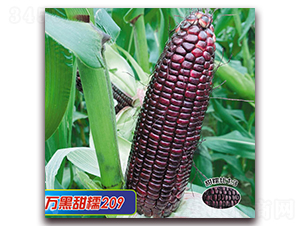 �f����Ŵ209-Ŵ���׷N��-�A��N�I