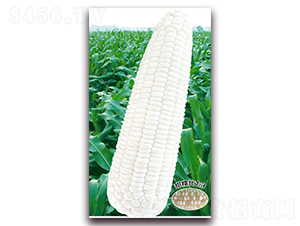 �fŴ188-Ŵ���׷N��-�A��N�I