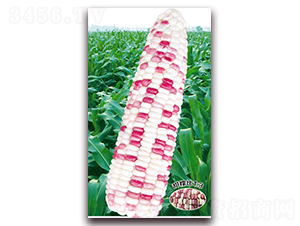 �f����Ŵ118-Ŵ���׷N��-�A��N�I