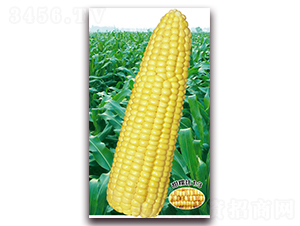 �f�S��Ŵ1015-Ŵ���׷N��-�A��N�I