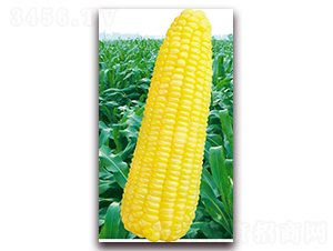 �fŴ2018-Ŵ���׷N��-�A��N�I