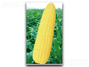 �fŴ��̖-Ŵ���׷N��-�A��N�I